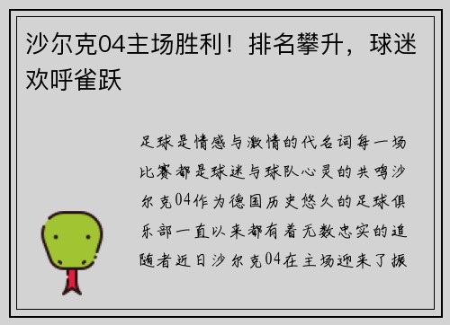 沙尔克04主场胜利！排名攀升，球迷欢呼雀跃