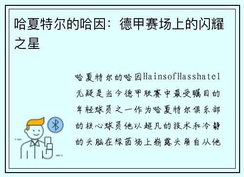 哈夏特尔的哈因：德甲赛场上的闪耀之星