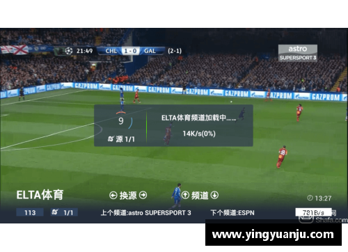 8868体育官网非后裔球员光芒：新时代体育的多元面貌 - 副本